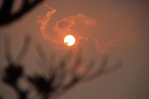 IMG_6841.JPG