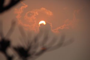 IMG_6842.JPG