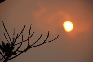 IMG_6844.JPG