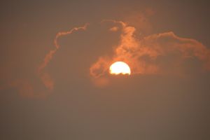 IMG_6849.JPG