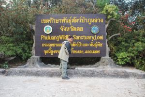 IMG_6850.JPG