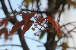 IMG_6853.JPG