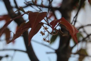 IMG_6854.JPG