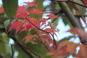 IMG_6855.JPG