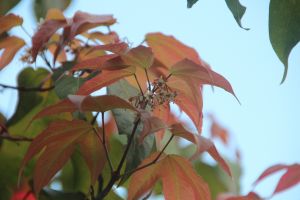 IMG_6856.JPG