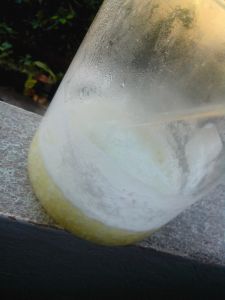 IMG_20130102_133749.jpg