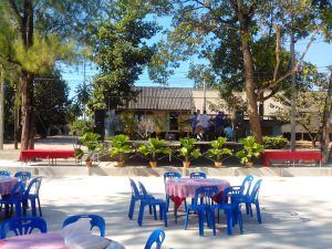 IMG_20130102_145030.jpg