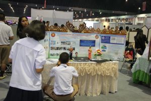 IMG_7009.JPG