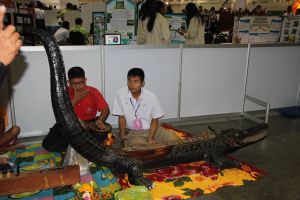 IMG_7094.JPG