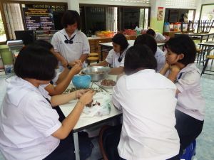 DSCF1611.JPG