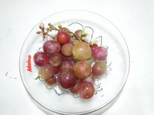 DSCF1617.JPG
