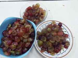 DSCF1625.JPG