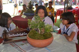 DSC_7332.JPG