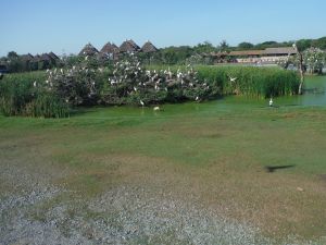 DSCF7756.JPG