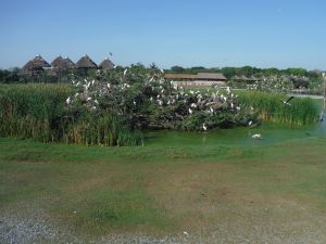 DSCF7758.JPG