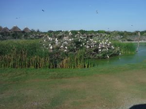 DSCF7759.JPG