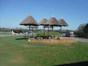DSCF7765.JPG