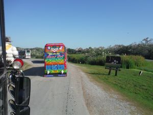DSCF7769.JPG