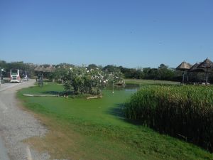 DSCF7773.JPG