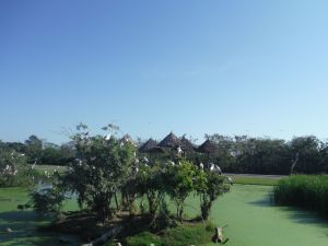 DSCF7775.JPG