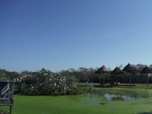 DSCF7777.JPG