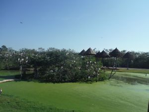 DSCF7778.JPG
