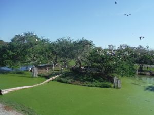 DSCF7779.JPG