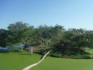 DSCF7780.JPG