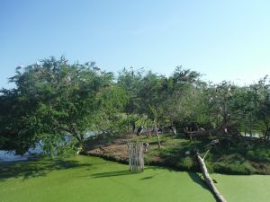 DSCF7781.JPG