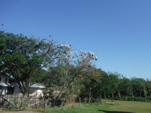 DSCF7783.JPG