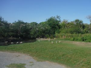 DSCF7784.JPG