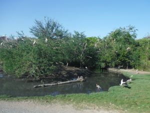 DSCF7786.JPG