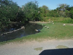 DSCF7787.JPG