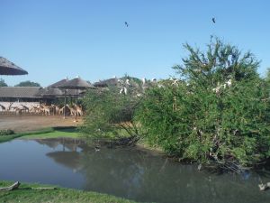 DSCF7788.JPG