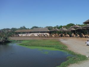 DSCF7791.JPG