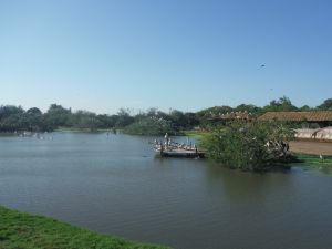DSCF7793.JPG