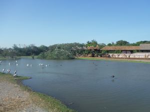 DSCF7797.JPG