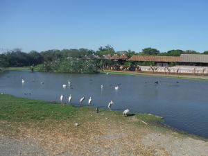 DSCF7800.JPG