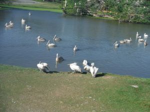 DSCF7802.JPG