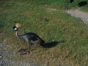 DSCF7806.JPG