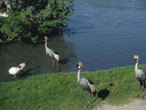 DSCF7807.JPG