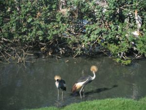 DSCF7808.JPG