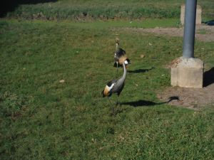 DSCF7812.JPG
