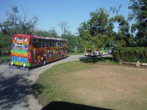 DSCF7815.JPG