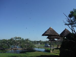 DSCF7817.JPG