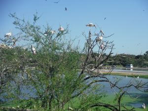 DSCF7819.JPG