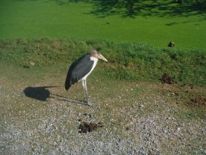 DSCF7820.JPG