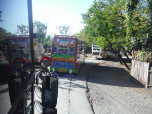 DSCF7826.JPG