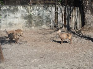 DSCF7829.JPG