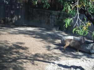 DSCF7831.JPG